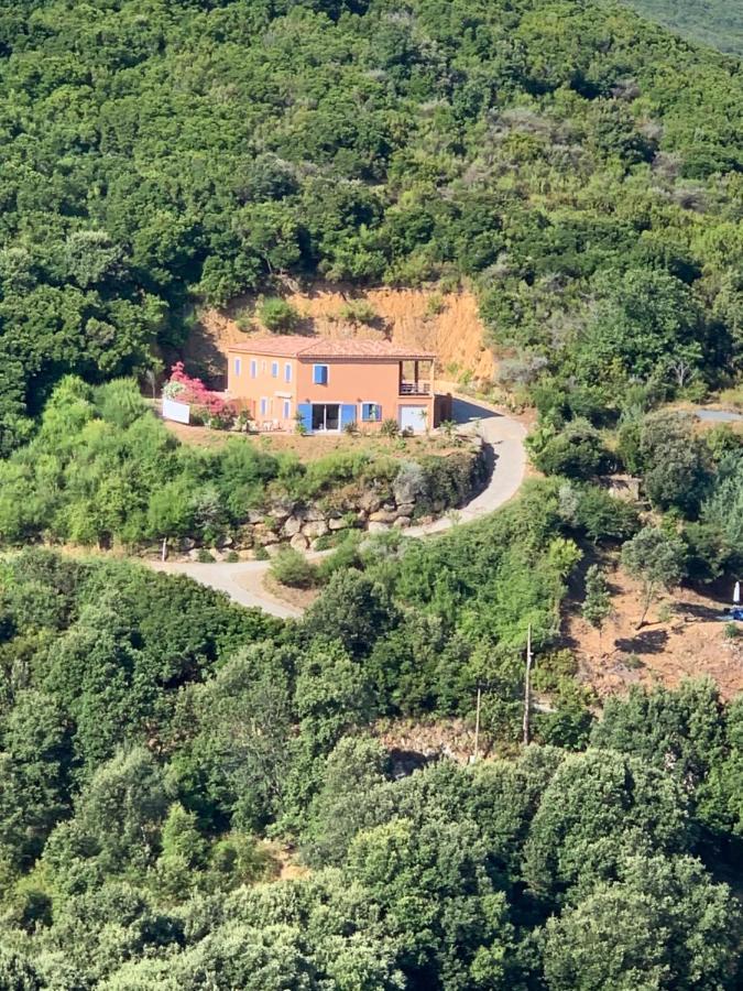 Villa Confina Villanova Экстерьер фото